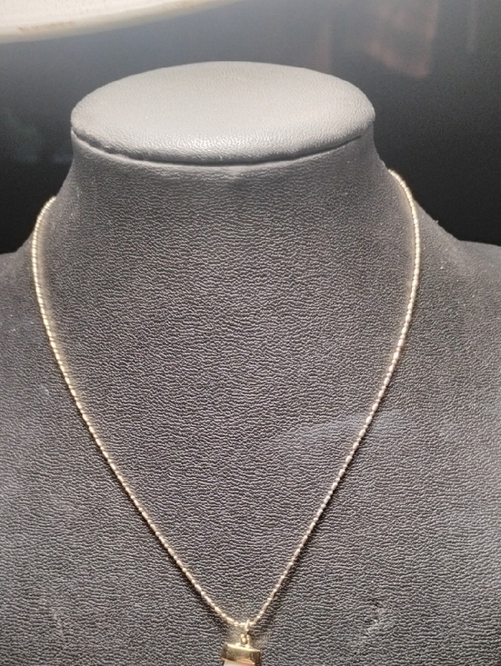 Express Jewelry - Express Jewelry Sharks Tooth On Gold Chain